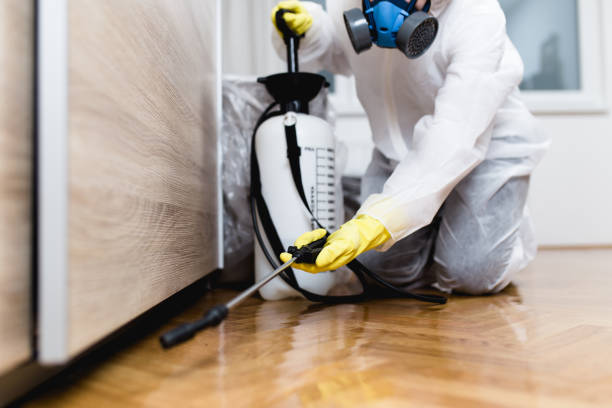 Best Residential Pest Control  in Hollister, MO